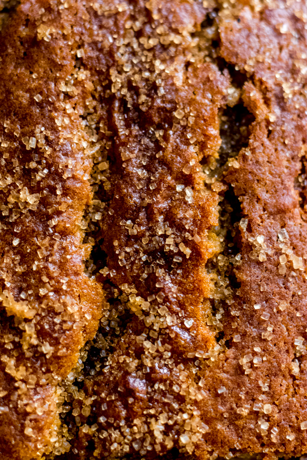 Close-up of pumpkin bread with sugar topping.