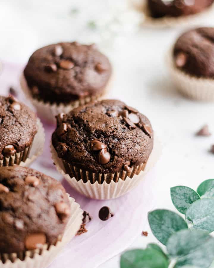 Chocolate chip muffins on a purple plate.