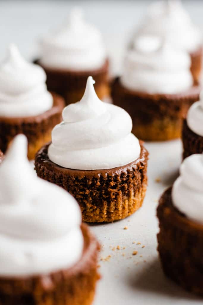 Mini S'mores Cheesecakes on a gray surface with un-toasted meringue piped on top