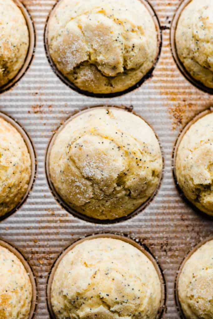 Baked muffins in the pan, with crisp crackly lids