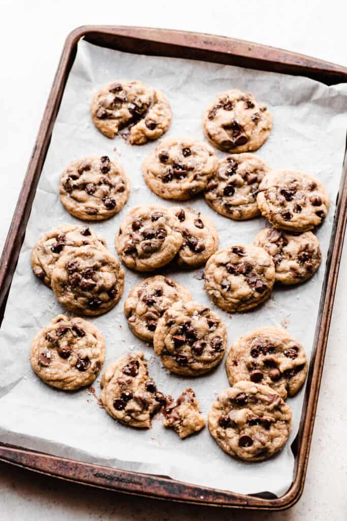 A baking sheet full of chocolate chip cookies.