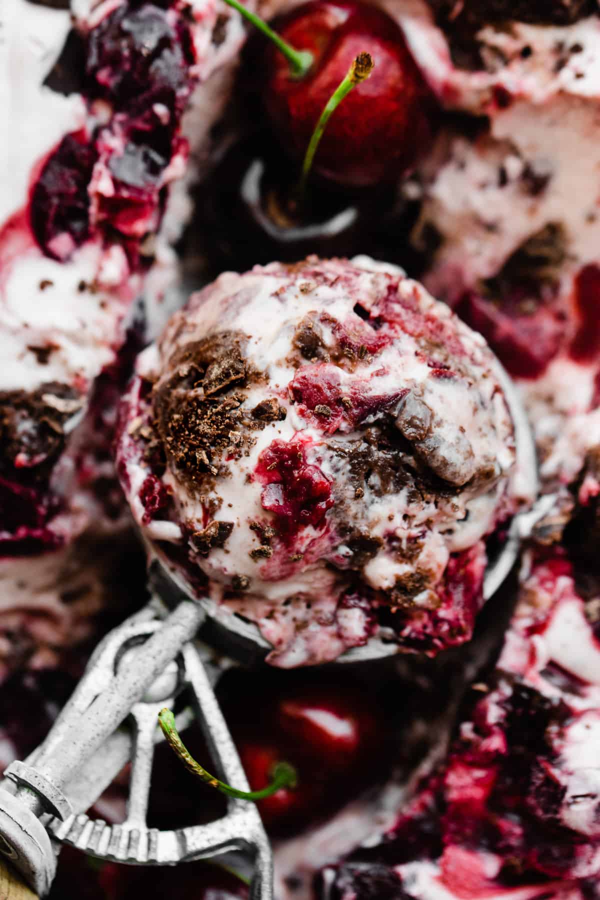 A close-up of a scoop of black forest ice cream in an antique scoop.