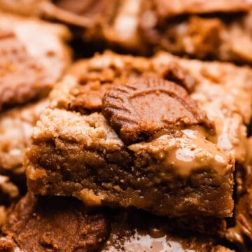 A close up on a biscoff blondie nestled among others, with visible pools of cookie butter and cookies on top.