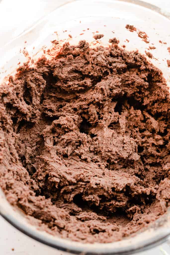 A bowl of slightly wet chocolate cookie dough.