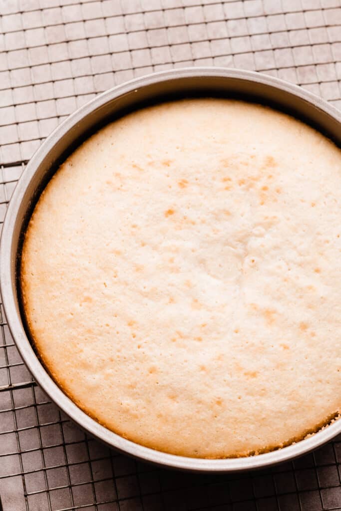 A vanilla cake layer, baked, in a cake pan.