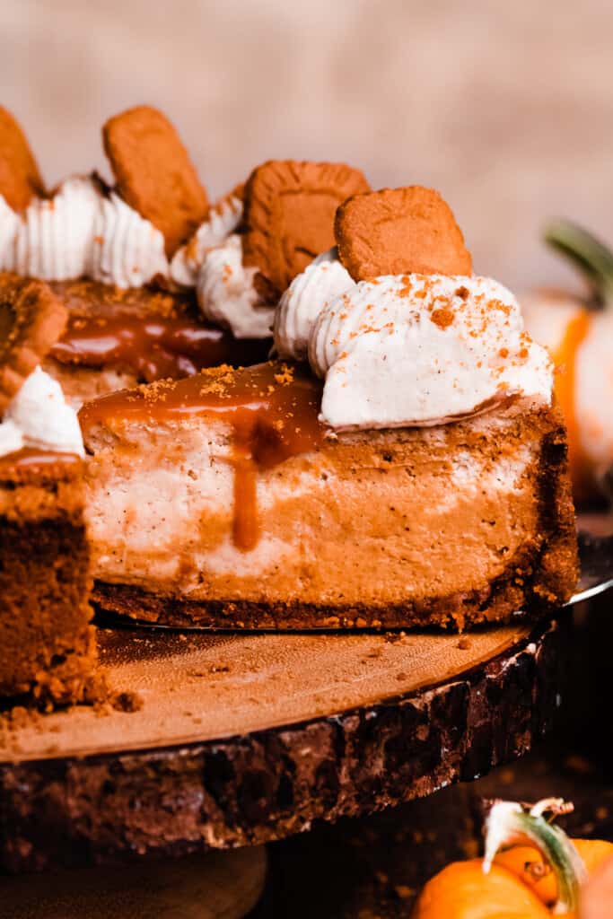 A close-up of a slice of the pumpkin cheesecake on a cake stand, with a cake lifter pulling it off. 